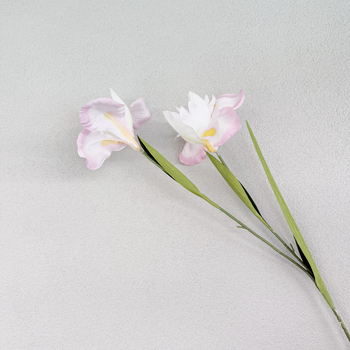 Iris Stem - 85cm White/Pink Artificial Stem