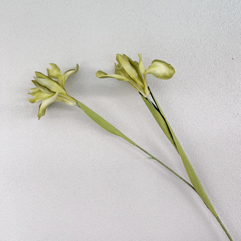 Iris Stem - 85cm Sage Green Artificial Stem