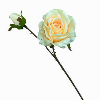 66cm Cream Artificial Rose Stem with Large Bloom and Bud