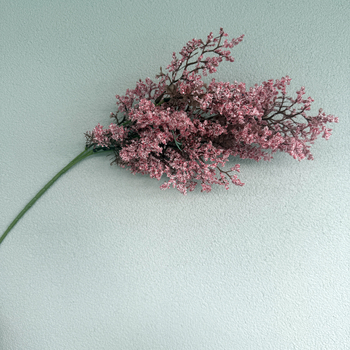 77cm Dusty Pink Two Tone Effect Astilbe 