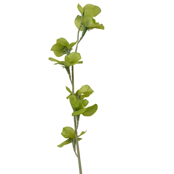 63cm Sweet Pea Stem - Sage Green