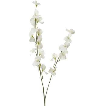 100cm Sweet Pea Stem - White