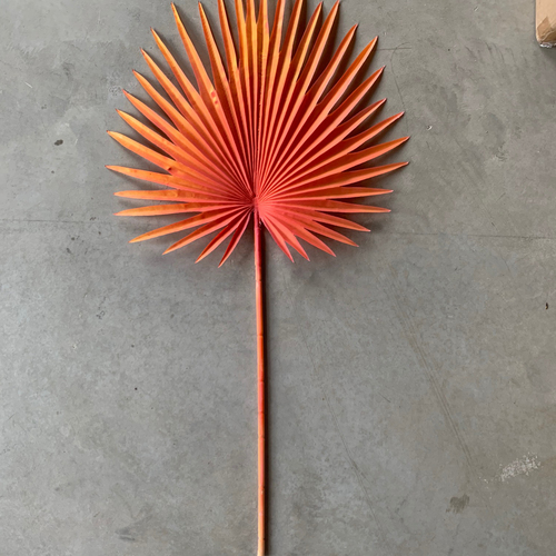 Large View 92cm Fan Palm Frond Leaf - 12 Colours Available [colours: Orange]