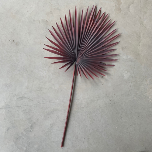 Large View 92cm Fan Palm Frond Leaf - 12 Colours Available [colours: Burgundy]