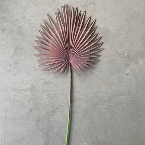 Large View 92cm Fan Palm Frond Leaf - 12 Colours Available [colours: Mauve]