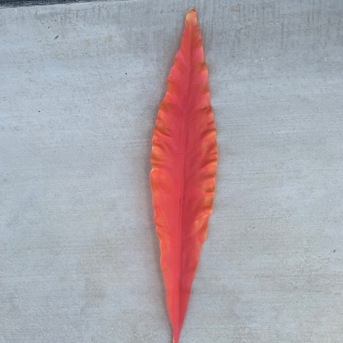 Large View 7cm Large Sword Leaf (Gymea) - 4 Colours Available [colours: Orange]