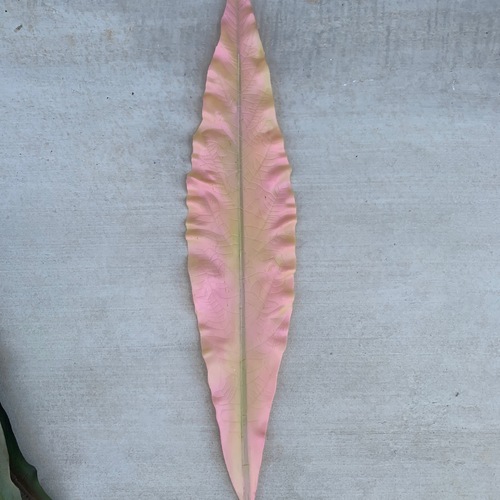 Large View 7cm Large Sword Leaf (Gymea) - 4 Colours Available [colours: Pink]