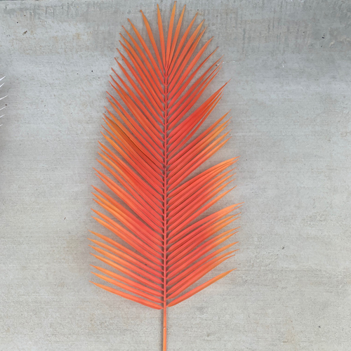 Large View 92cm Large Palm Frond Leaf - 4 Colours Available [colours: Orange]