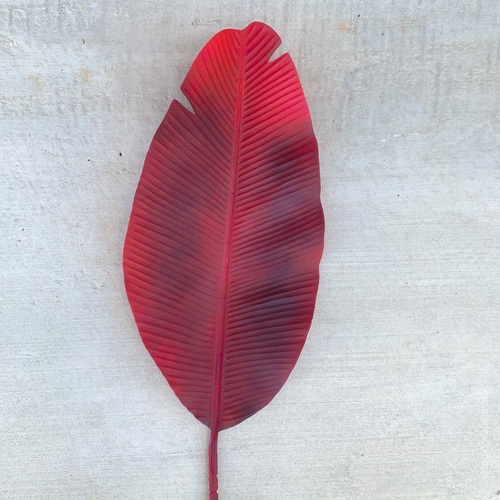 Large View 95cm Giant Bannana Leaf - Red/Burgundy