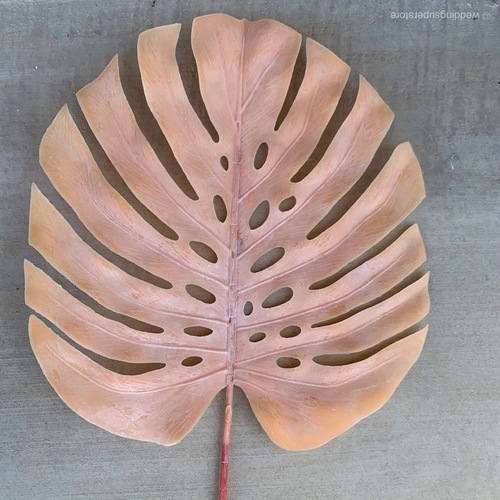 Large View 90cm Monstera Split Leaf Philo - Peach