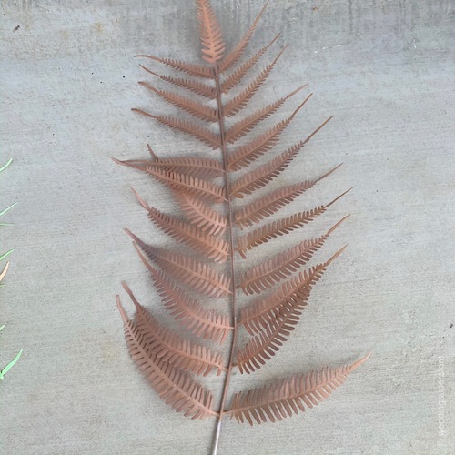 Large View 106cm Giant Leatherleaf Fern - Brown