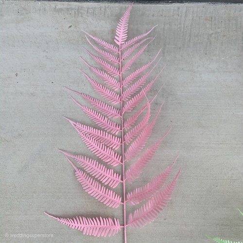 Large View 106cm Giant Leatherleaf Fern - Pink