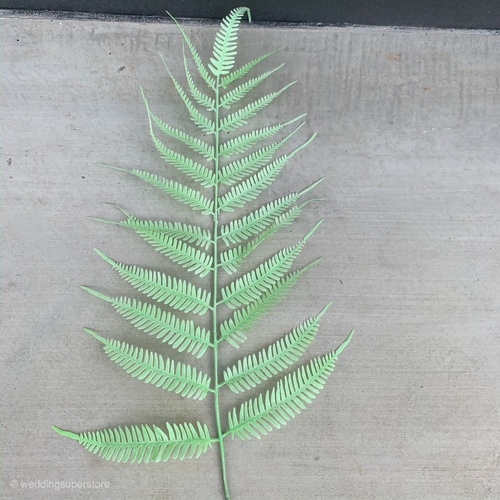 Large View 106cm Giant Leatherleaf Fern - Green