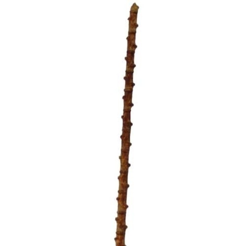 Large View Metallic Twig - 140cm - Copper