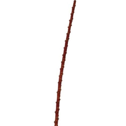 Large View Metallic Twig - 140cm - Red