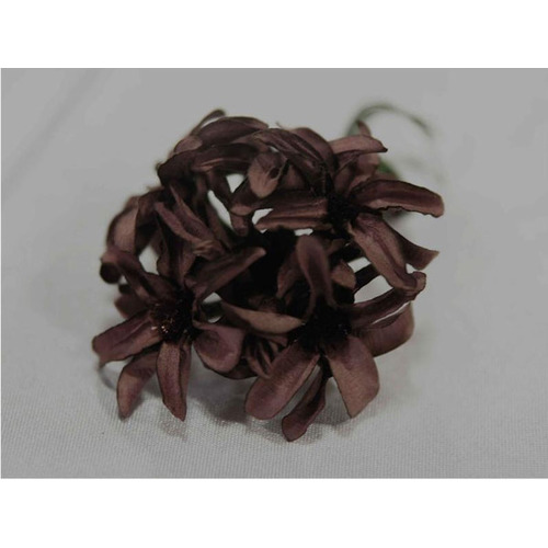 Large View 72 x Hybrid Craft Lilies - Chocolate