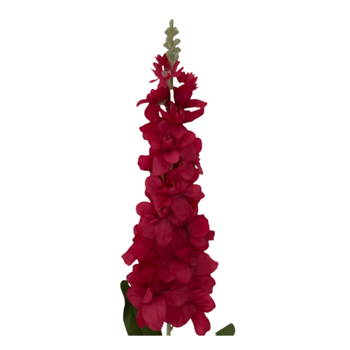 Large View Delphinium Stem - 90cm -  Deep Pink