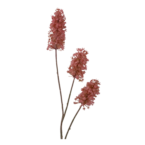 Large View 85cm Flowering Reed - 3 Head -  Pink