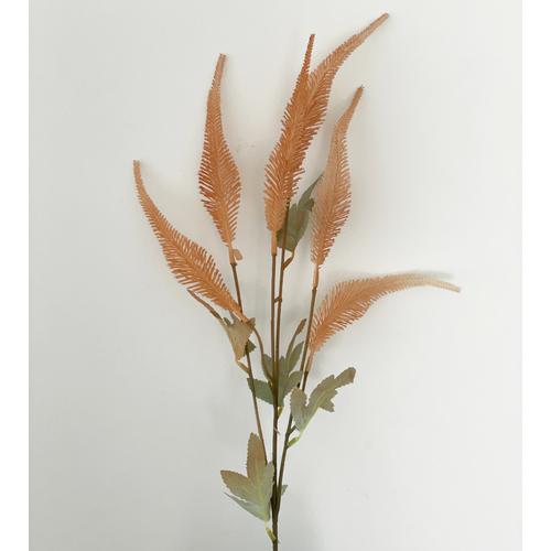 Large View 70cm - 6 Head Grass/Reed Flower Stem - Peach