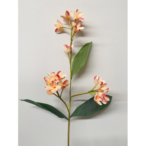 Large View 90cm Peach/Pink Frangipani Stem