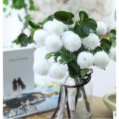 Large View 6cm White Allium (Onion Balls) Bunch - 6 Heads