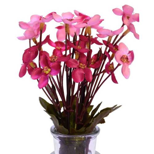 Large View Pink Filler Flowers small - 20cm