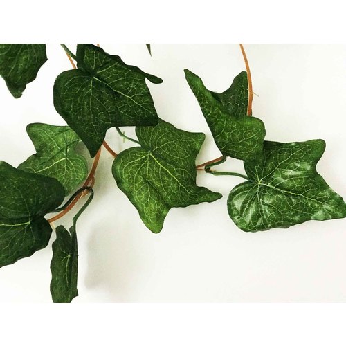 Large View 5pk - 2.3m Ivy Leaf Garland