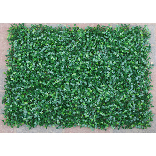 Large View Boxwood Hedge Flower Wall  60 x 40cm