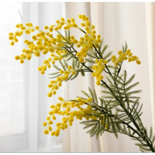 Large View 86cm Yellow Acacia (Wattle) Stem