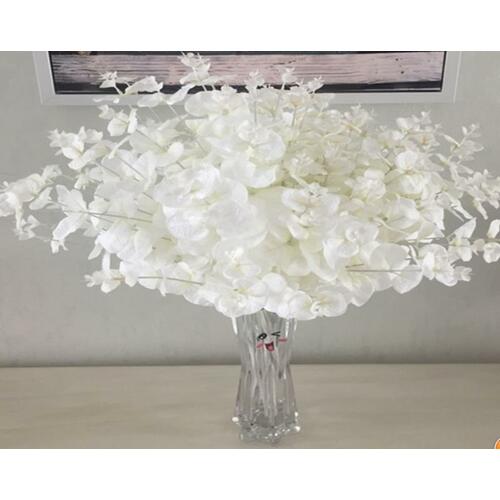 Large View 48cm White Native  eucalyptus Bunch (Silver Dollar)