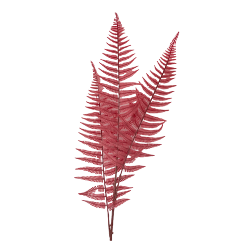 Large View 82cm Mountain Fern - Light Burgundy