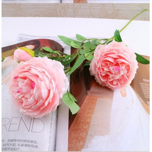 Large View 60cm- 3 Head Rose Flower Stem - Soft Pink