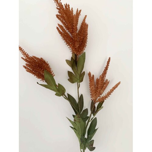 Large View 90cm Autumn Astilbe - 3 Head