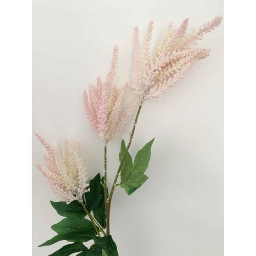 Large View 90cm Pink/White Astilbe - 3 Head