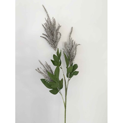 Large View 90cm Grey Astilbe - 3 Head