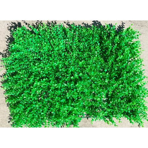 Large View Long Boxwood Hedge Flower Wall  60 x 40cm