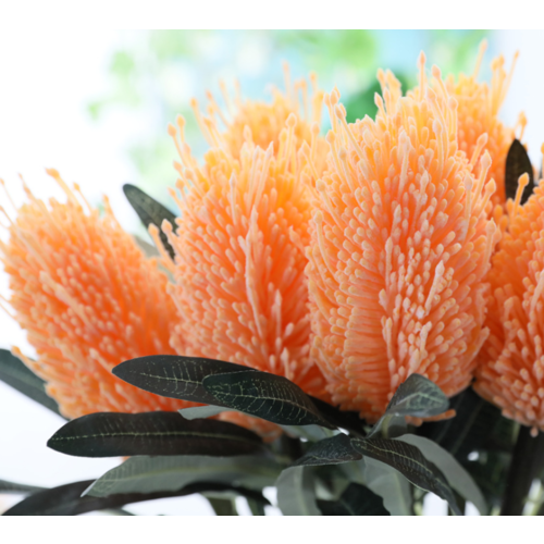 Large View Orange Native  Flower 63cm