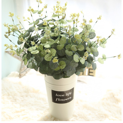 Large View 48cm Native Eucalyptus Leaf Bunch (Silver Dollar) 