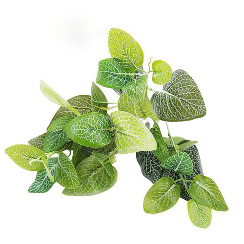 Large View 30cm Pepperomia Leaf Spray -  Green