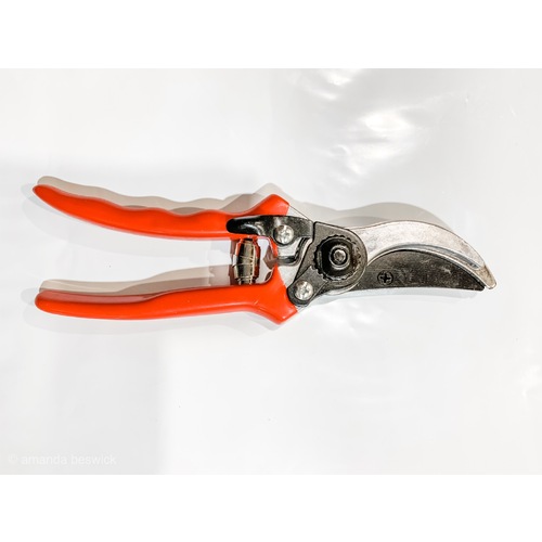 Large View Florist Secateurs Red 