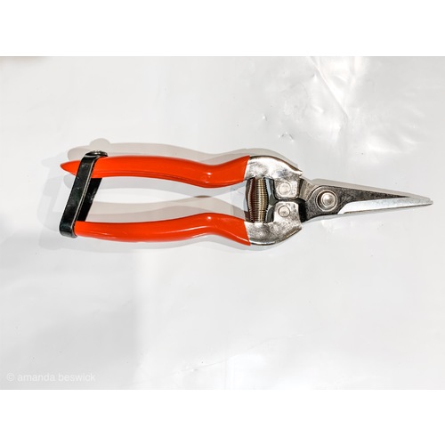 Large View Picker Shears - Red Straight