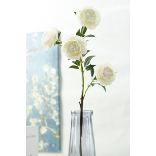 Large View 80cm - 4 Head Peony Rose Stem - White