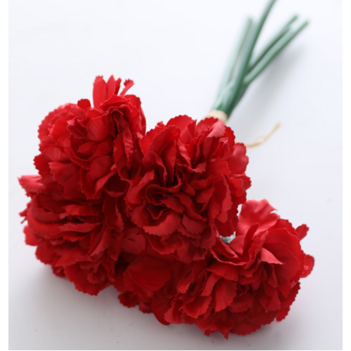 Large View Carnation Bouquet 5 Head - Red