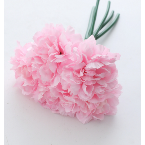 Large View Carnation Bouquet 5 Head - Pink