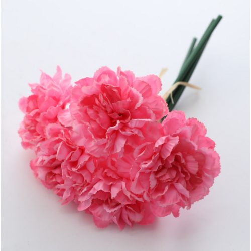 Large View Carnation Bouquet 5 Head - Dark Pink