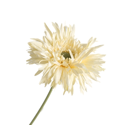 Large View 42cm Chrysanthemum Flower - Cream