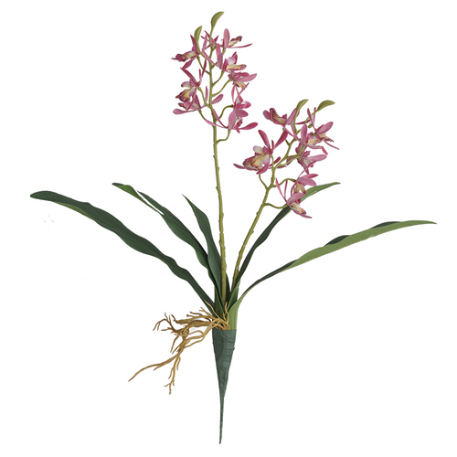 Large View 45cm Orchid Flower with Roots - Pink