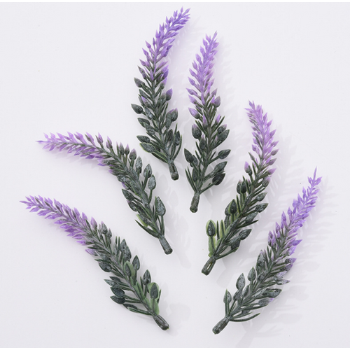 Large View 10cm White Lavender Flower head