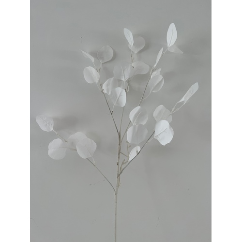 Large View 90cm White Native Eucalyptus Leaf Bunch (Silver Dollar)