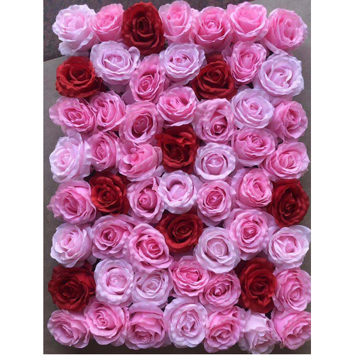 Large View Rose Flower Wall Pinks/Red